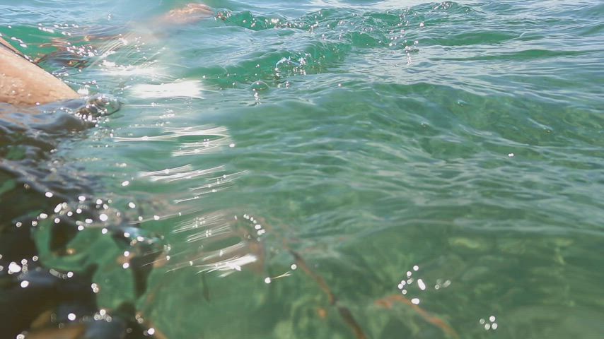 Underwater view : video clip