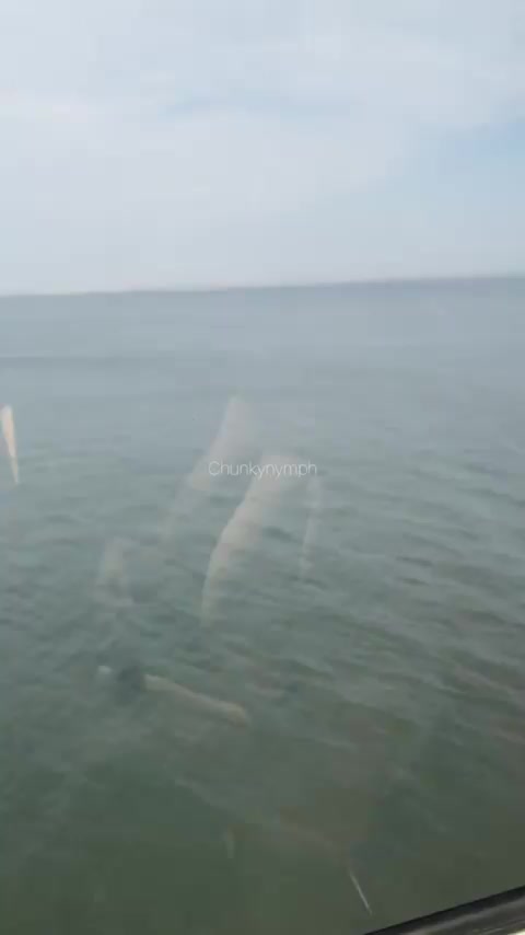 Got caught as I was about to suck his dick in a cable car [gif] : video clip