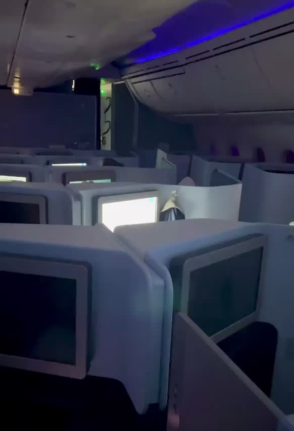 Business Class makes me horny... [GIF] : video clip