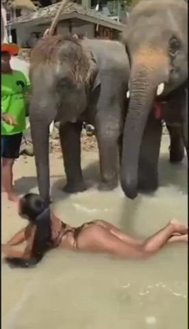 Photoshoot gets out of hand : video clip