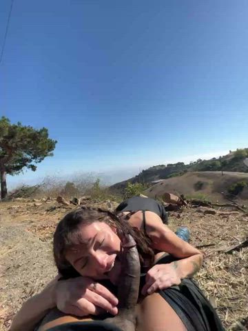 best picnic ever : video clip