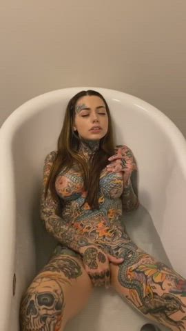 Painted lady : video clip