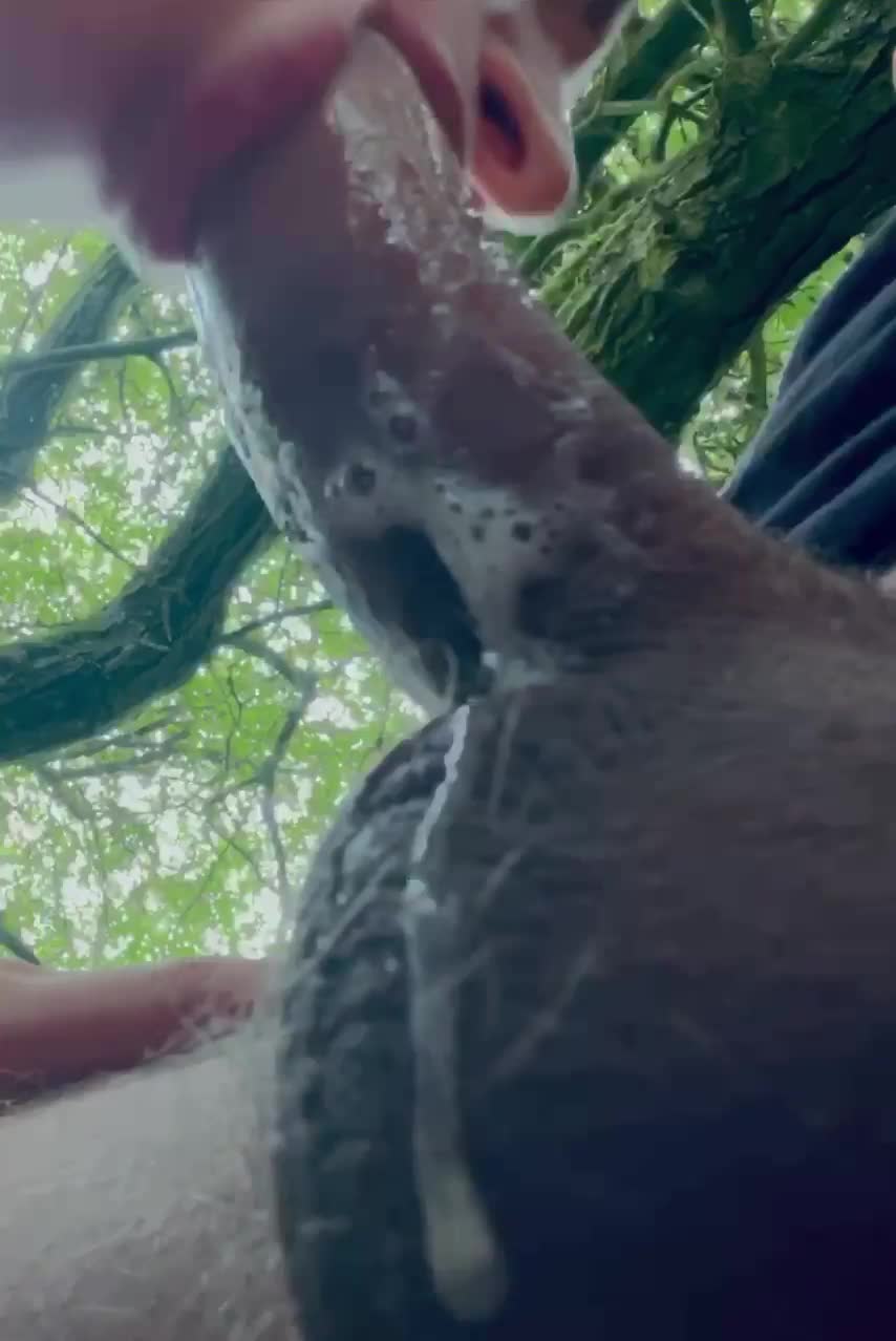 I found the way to a man’s heart : video clip