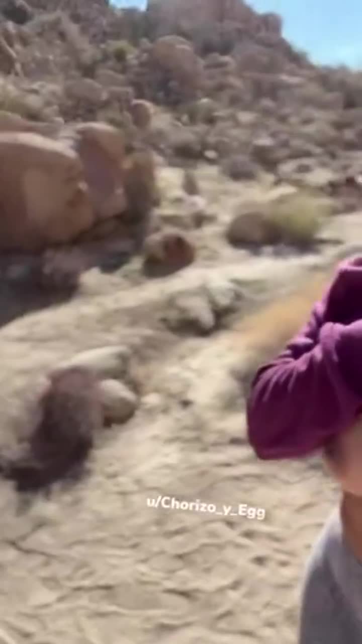 This hike was so much fun [gif] : video clip