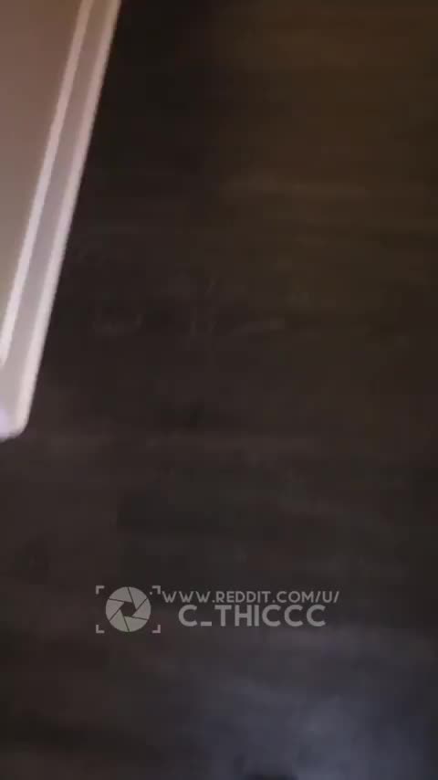 I know im a cumslut, I won’t say no 🤷🏼‍♀️[OC] : video clip