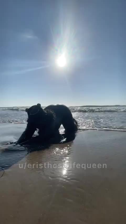 wanna make some waves? : video clip