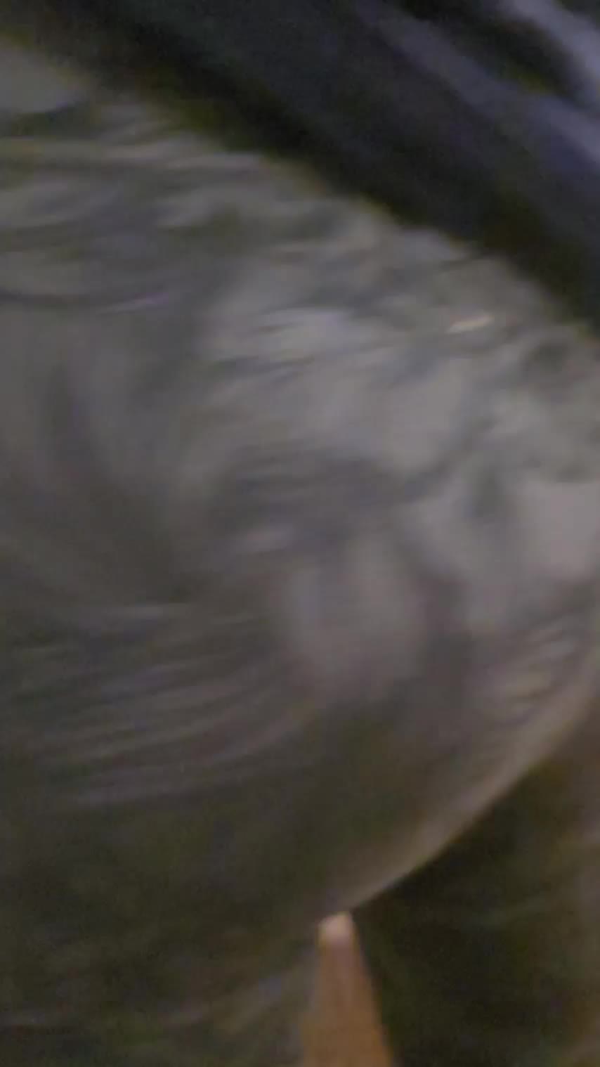 He tells me to pull them down, and I do. : video clip