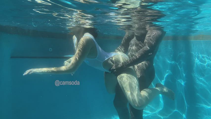 Great Black Shark Attack : video clip