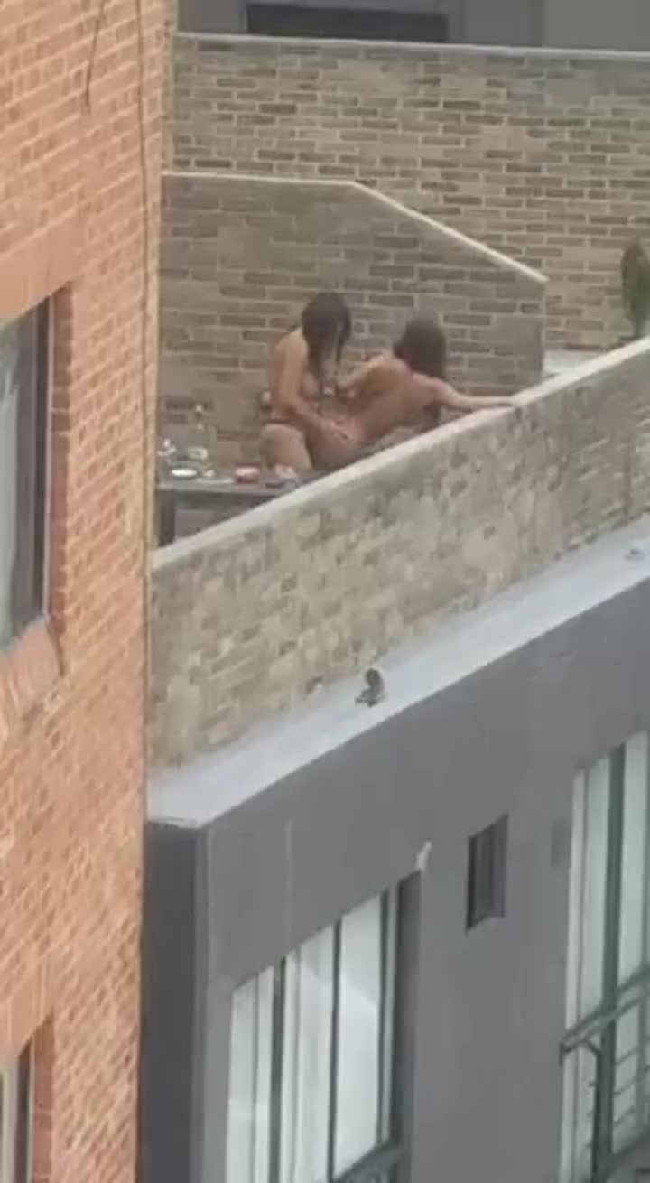 Wild Rooftop Action : video clip