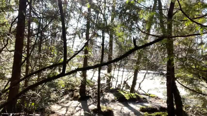 Had to stop for a quick flash on my run 😉 : video clip