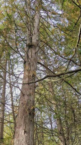 I love the great outdoors : video clip