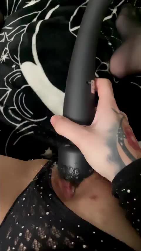 Anyone for a face full : video clip