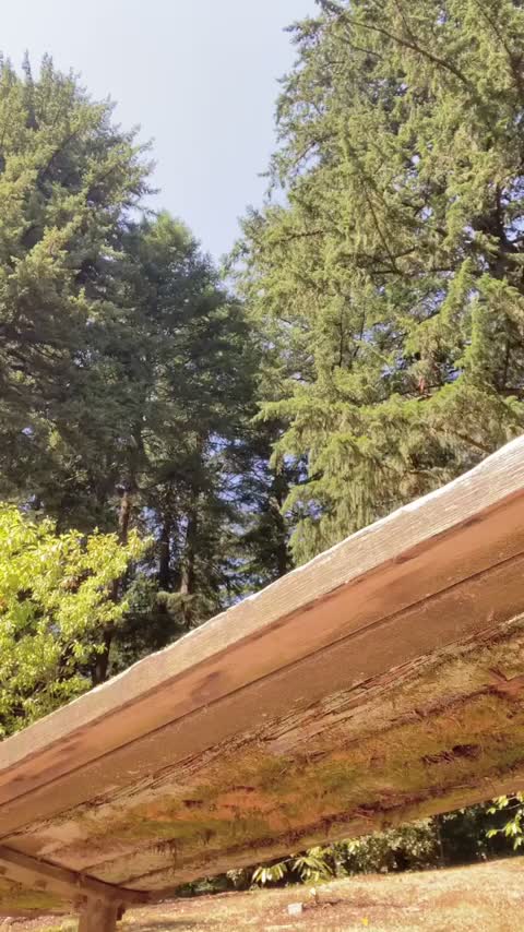 Thoroughly enjoying the sunshine today : video clip