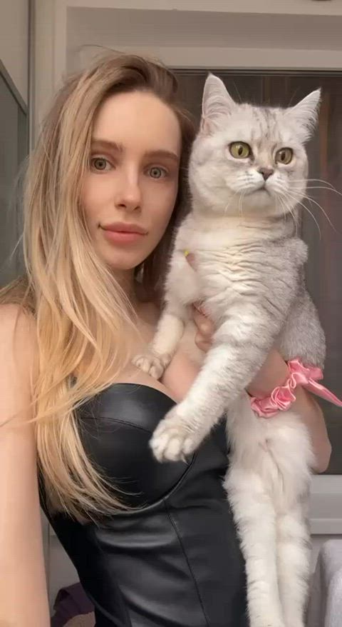 Two cute kittens : video clip