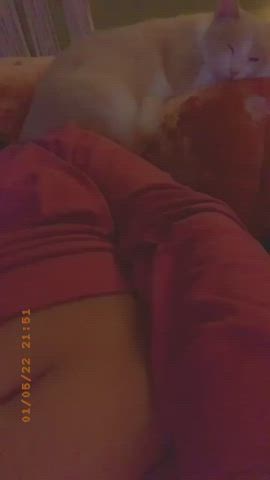 Cocks plz😫😫😫🤤 : video clip