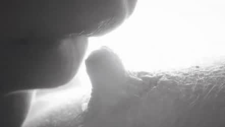 Alexis Crystal Amaris Bed Sex Blonde Close Up Erect Nipples Fingering Lesbian Lesbians Lick Licking Lingerie Natural Natural Tits Nipple Nipple Play PMV Pussy Pussy Eating Pussy Licking Porn GIF by uxizix : video clip