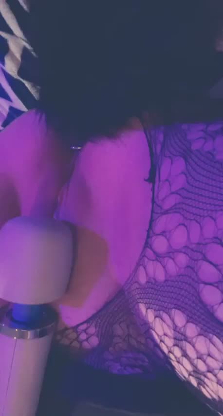 Kitty wants to play : video clip