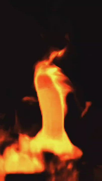 Cock GIF by loatid : video clip