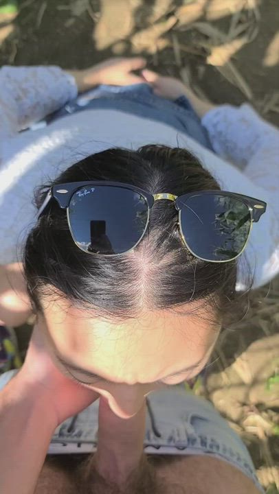 Got lost in a corn maze : video clip