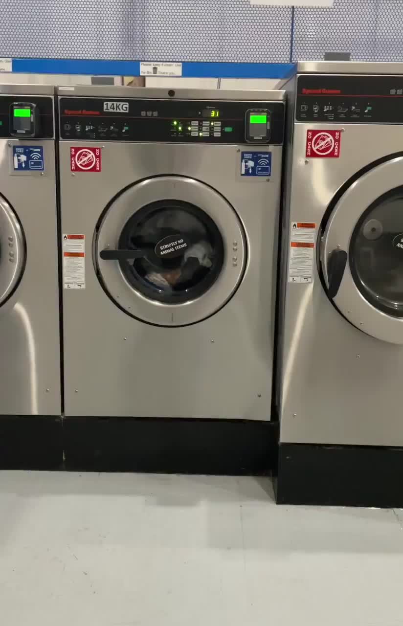 would you guess i’m this small? : video clip
