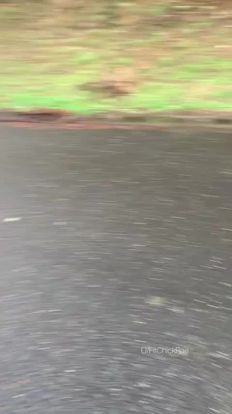 Titty flash on this cold autumn day [gif] : video clip