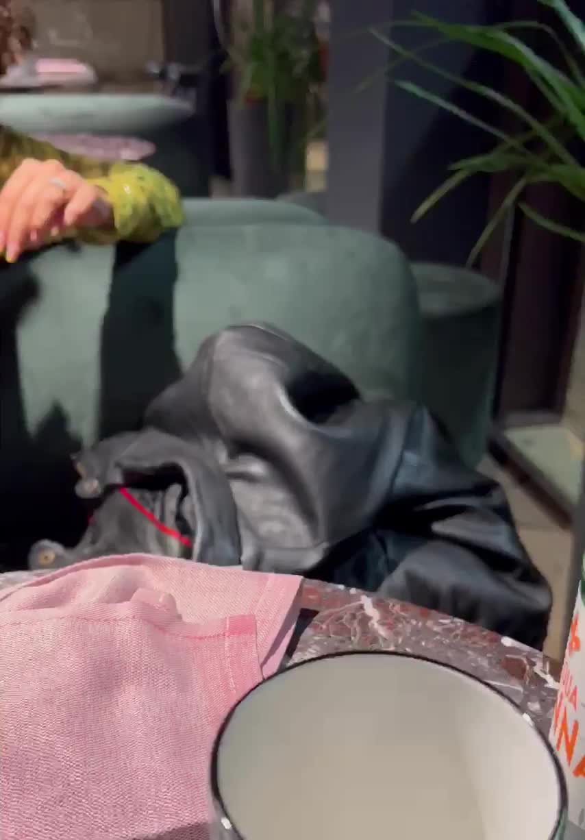 It's my third free drink from the barman, and I don't know why... [GIF] : video clip