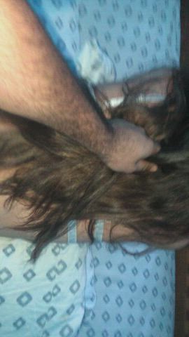 love it when he yanks my hair : video clip