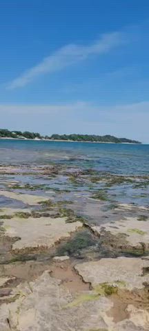 Relaxing day at the beach with his meat stick in my mouth : video clip