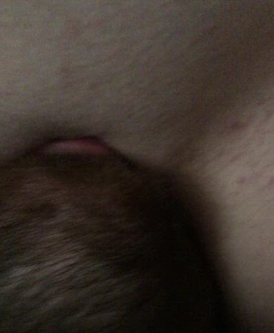 Licking her clean : video clip