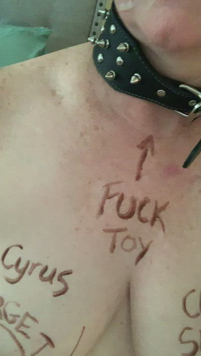 My kitty wears her rewards. She’s a good girl. : video clip