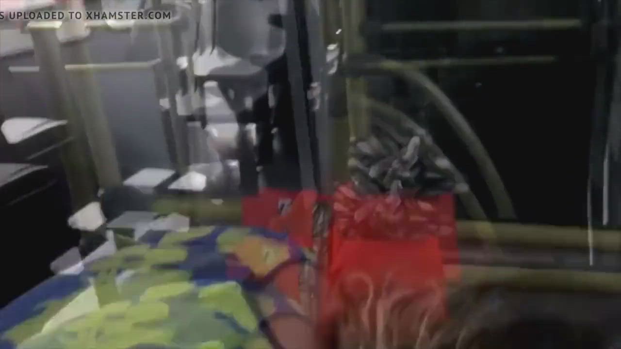 Finishing the job in the back of the bus : video clip