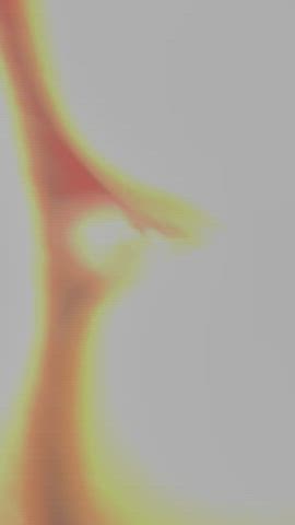 We like it from behind : video clip