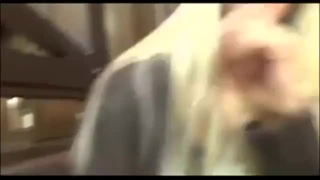 Restaurant fucking : video clip