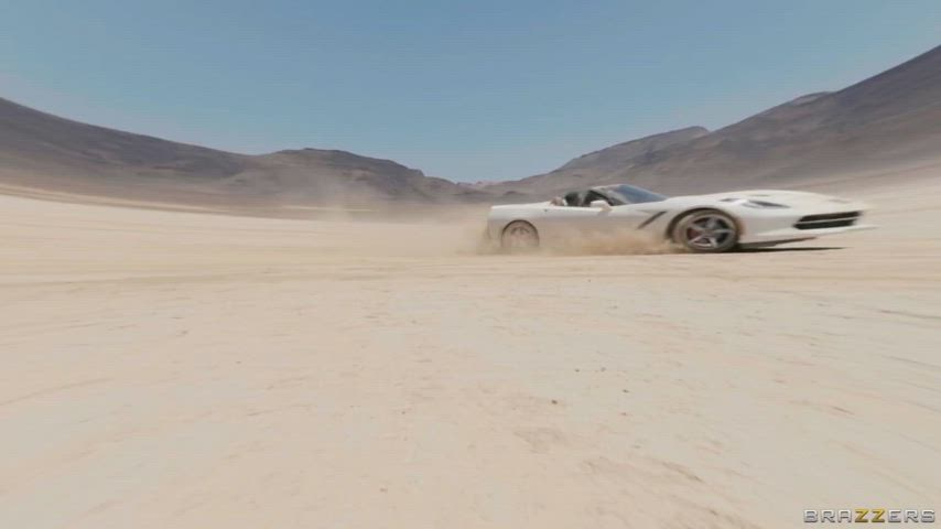 She's Wild Ride : video clip