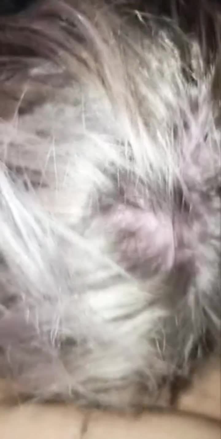 just being daddy's good girl : video clip