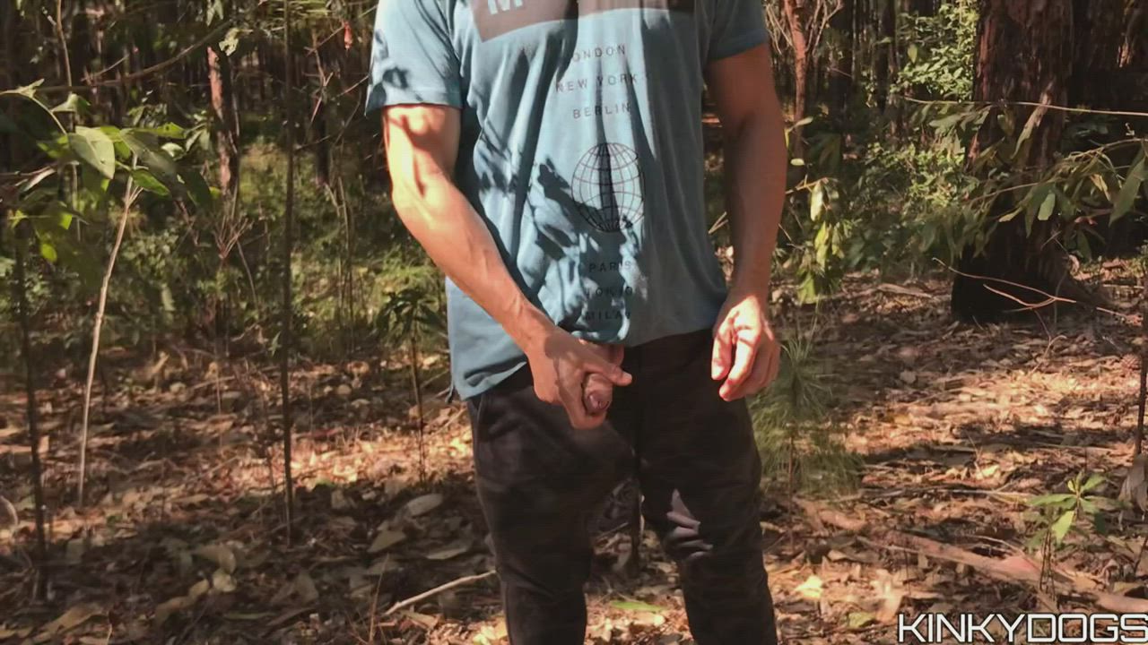 Caught in the woods : video clip