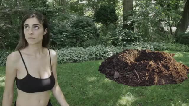 Beaster Day looks like a great movie! : video clip