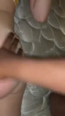 Sexy College Girl Taking BBC : video clip