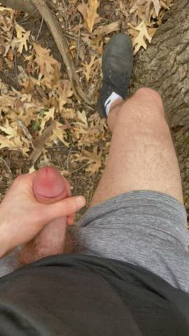 It’s spring and I’m sprung : video clip