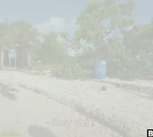 Rent An Island To Fuck : video clip