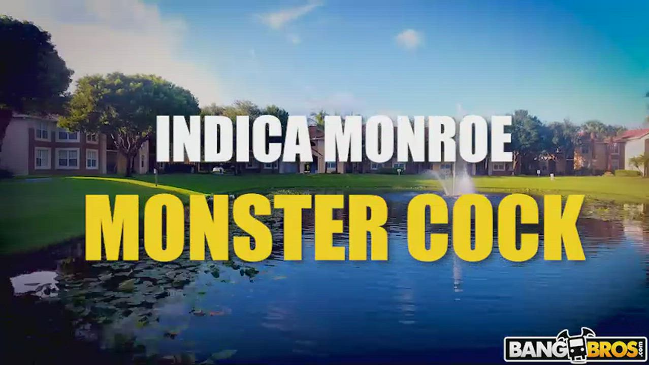 Indica Gets Filled Up : video clip