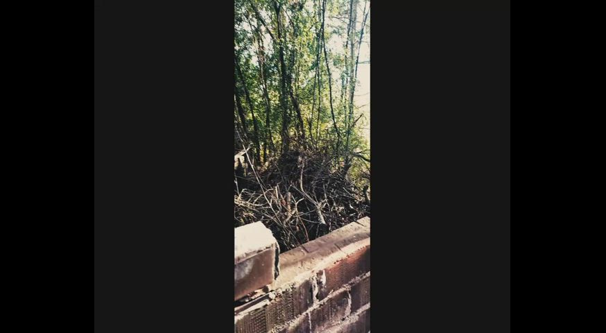 I sucked him off while hiking and made him cum, just the way I wanted it 🫠 : video clip