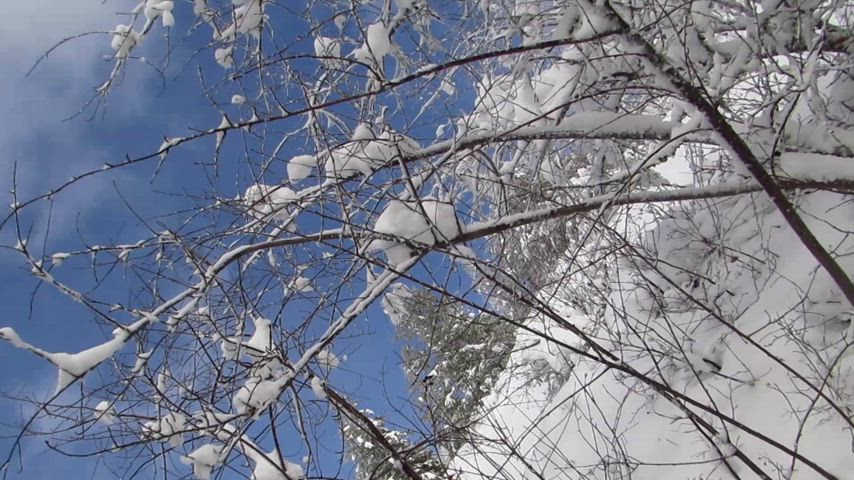 Snowy blowjob ❄️🥵 : video clip