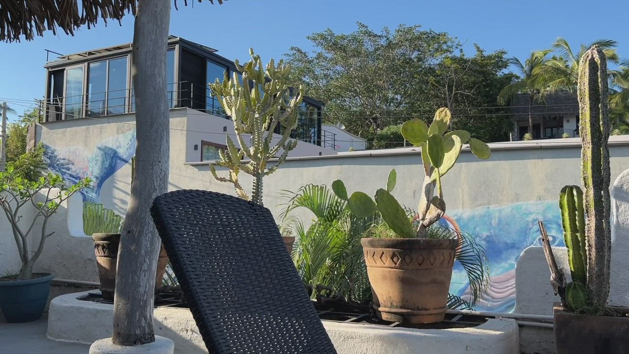 Playing with my toy on the veranda. I wonder if anyone saw what I was up to! [gif] : video clip