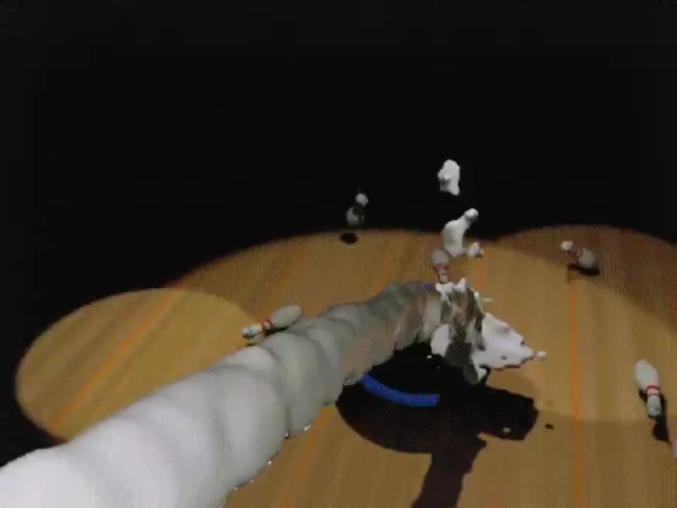 In bowling, getting three Strikes in a row is called a Turkey (WyerframeZ) : video clip