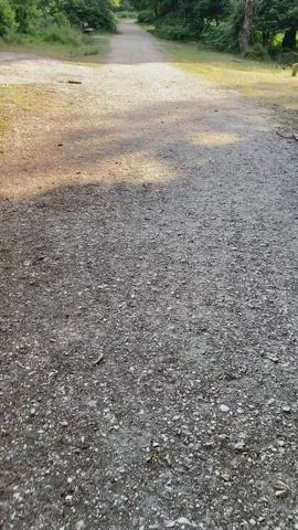 Had to cut this flash short as I got caught! whoopsie. [GIF] : video clip