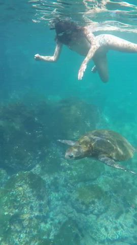Naked snorkeling tour 🤿✨ : video clip