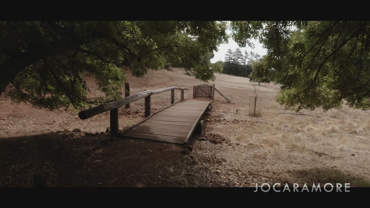 Found this bench in the park and went for it. Definitely worth it! : video clip