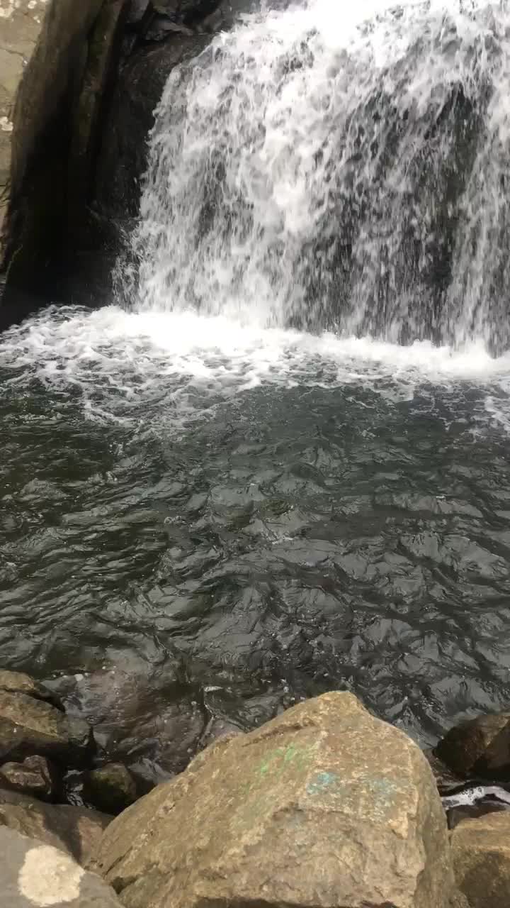 Waterfall blowjob : video clip
