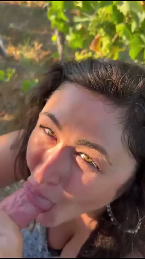 Down the hatch in a vineyard : video clip